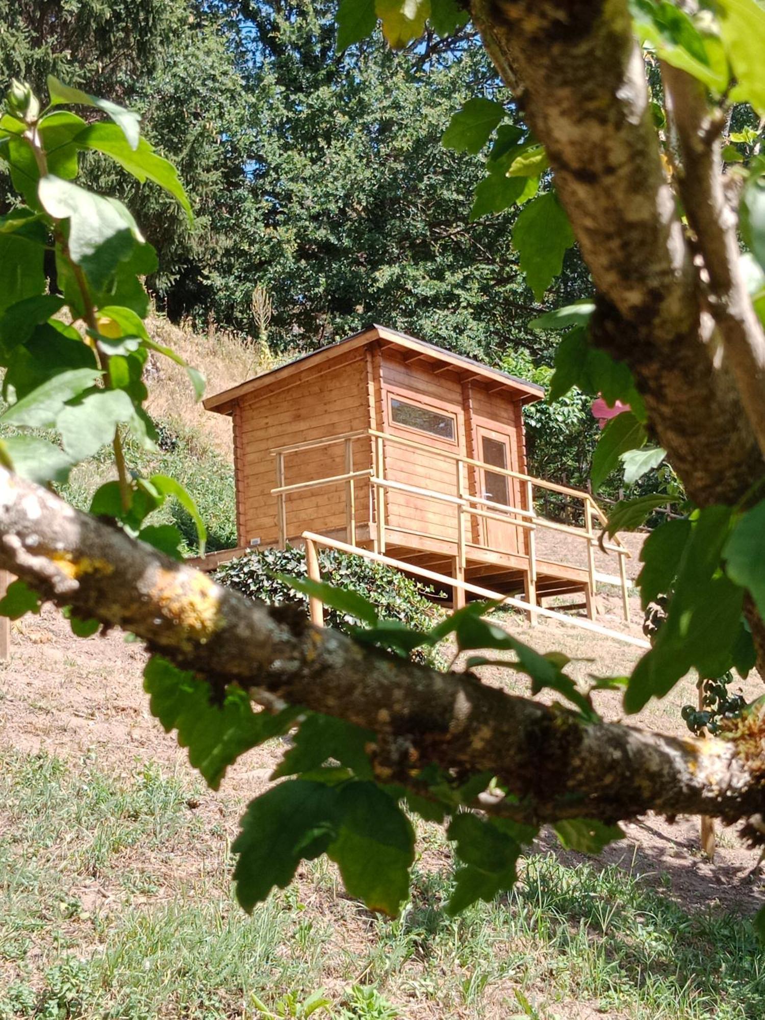 Les Axeens Appartement